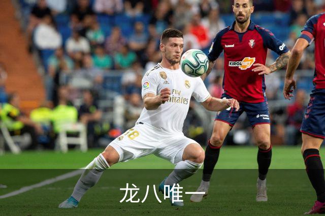 龙八唯一公司简介配图